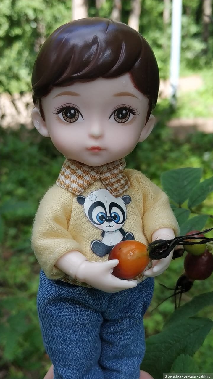 Биологические открытия Коленьки