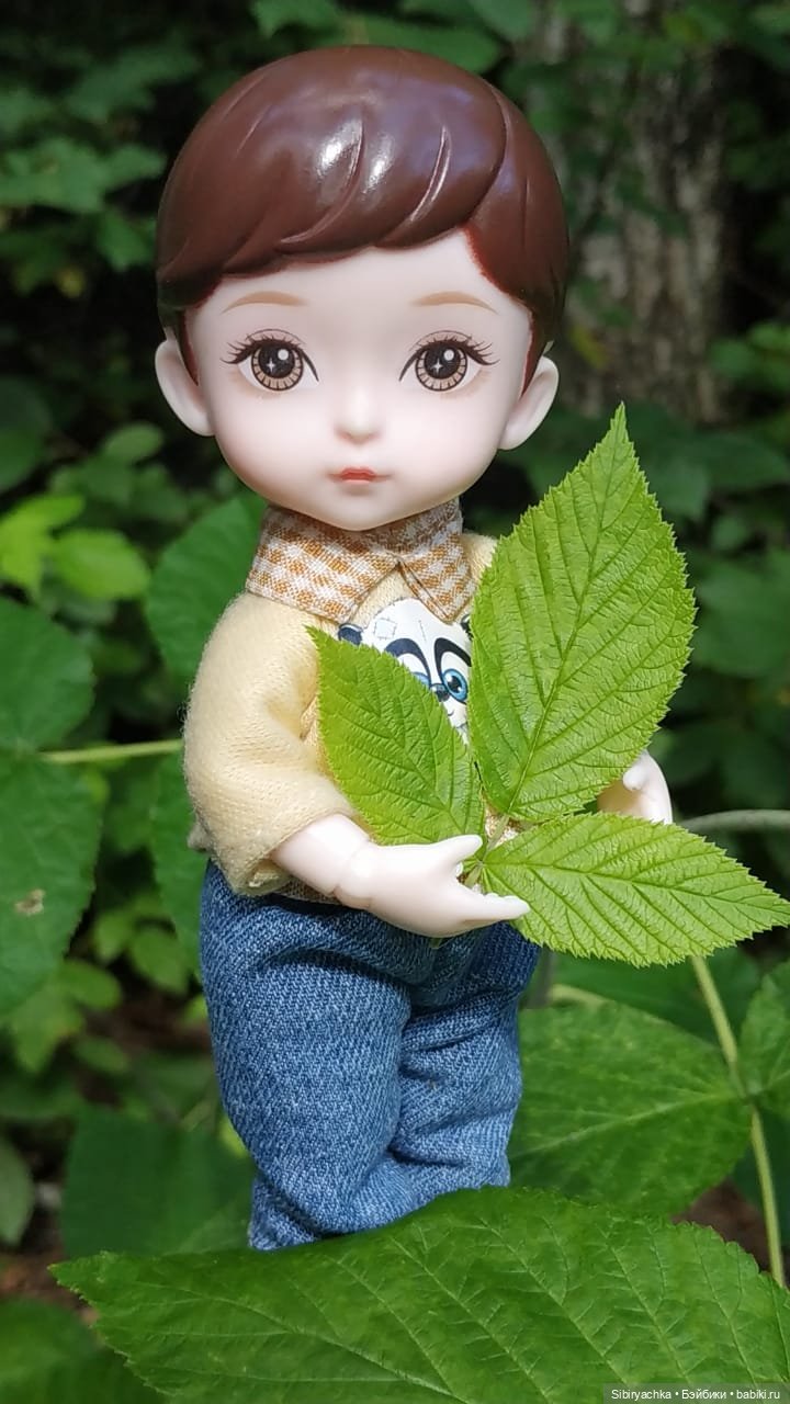 Биологические открытия Коленьки