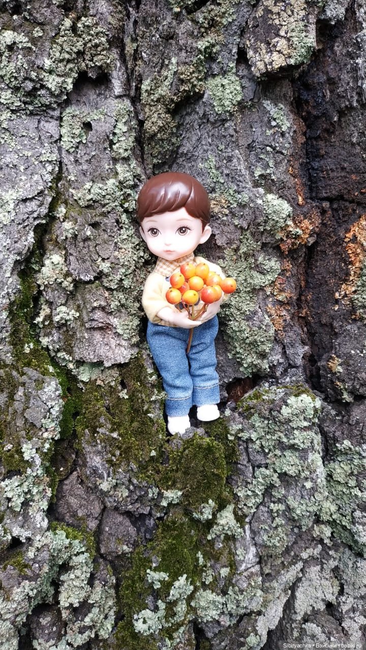 Биологические открытия Коленьки