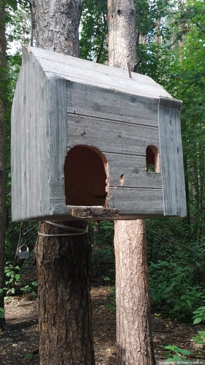 Биологические открытия Коленьки