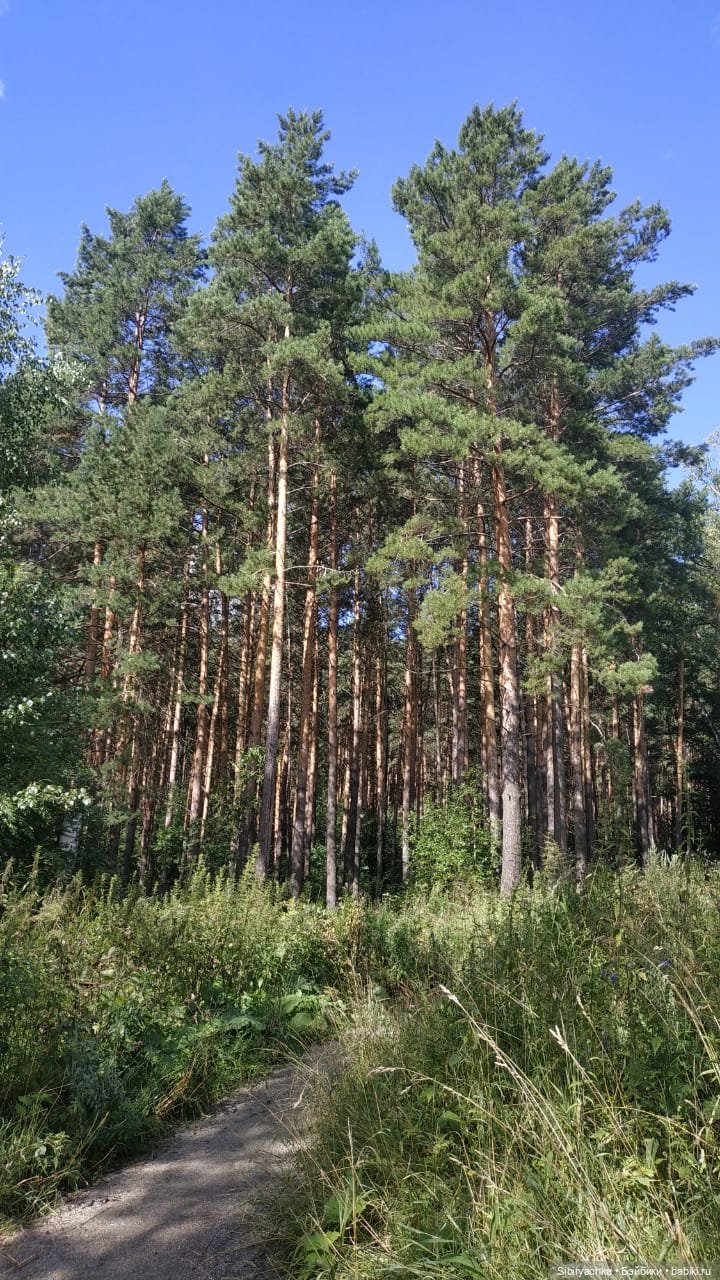 Биологические открытия Коленьки