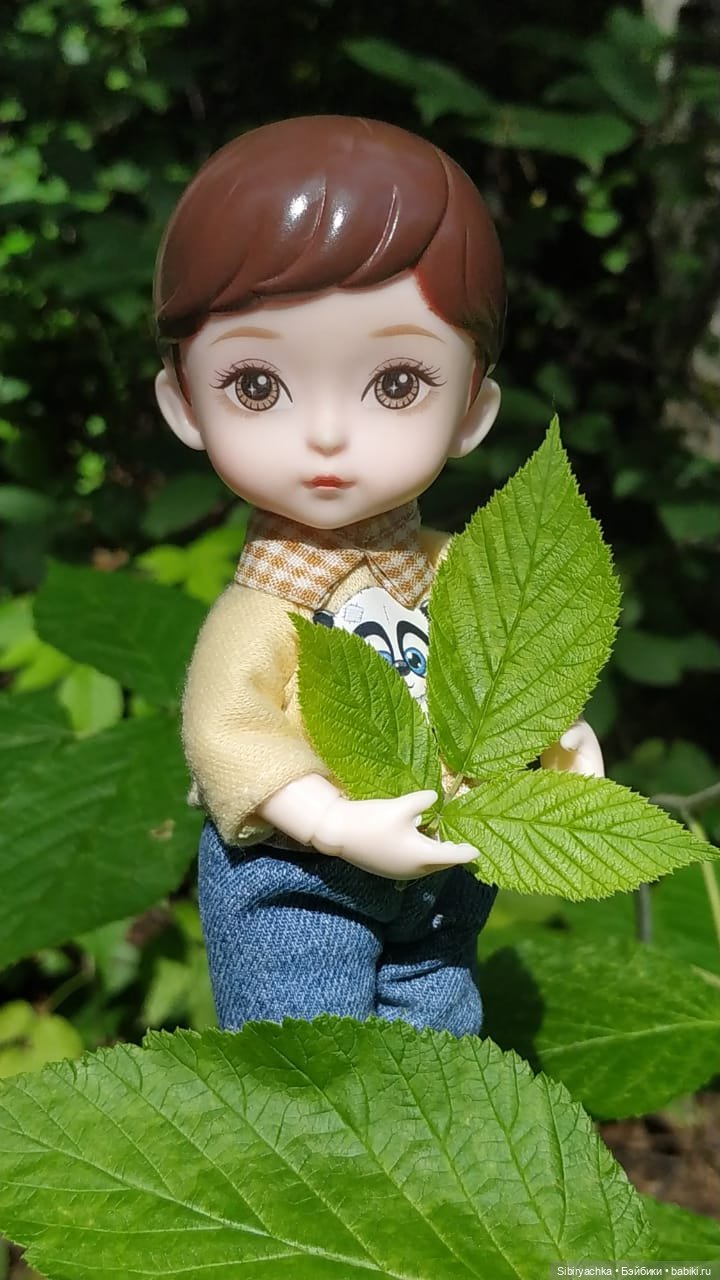 Биологические открытия Коленьки