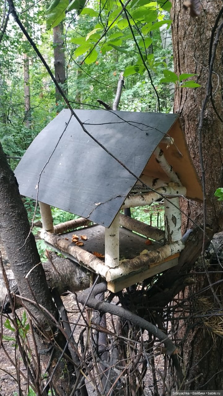 Биологические открытия Коленьки