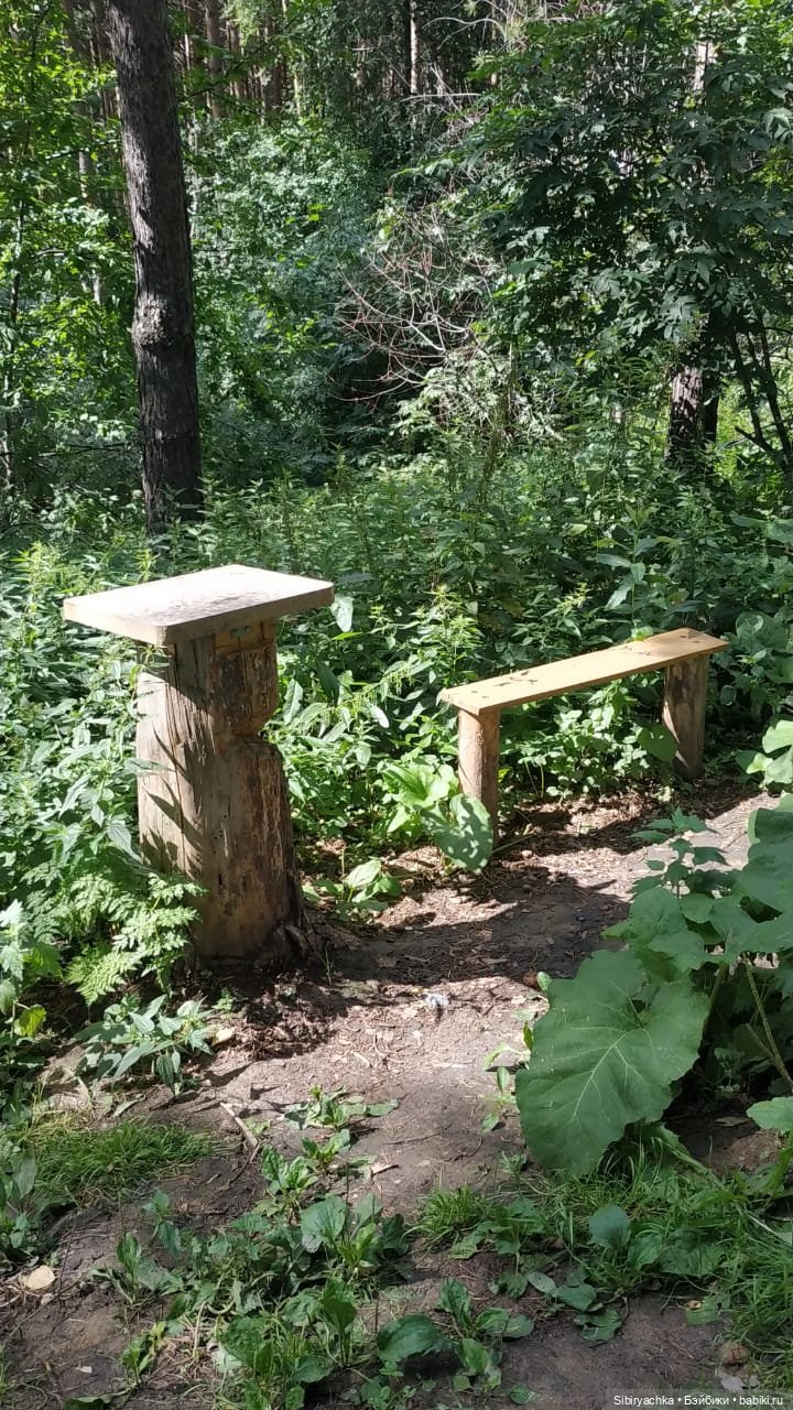 Биологические открытия Коленьки