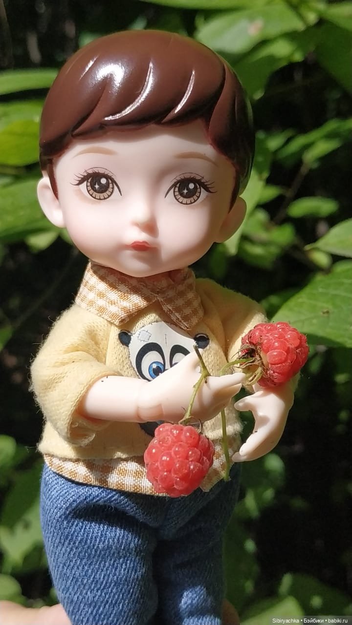 Биологические открытия Коленьки