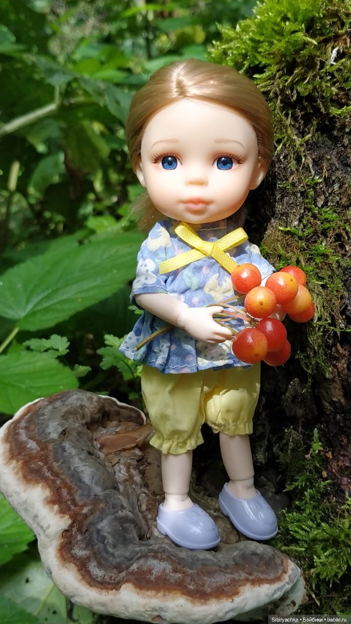 Лесная прогулка Полины — Игровые куклы разных производителей (Разное): редкие бренды (фото 10)