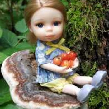 Лесная прогулка Полины.