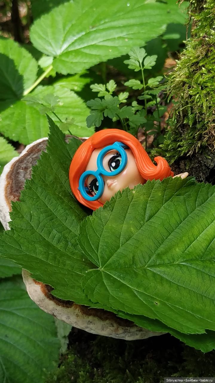 Лесная прогулка Крошечки — Игровые куклы разных производителей (Разное): редкие бренды