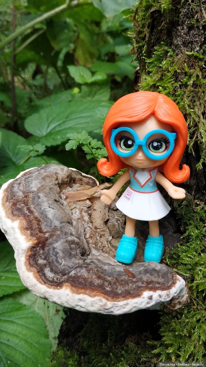 Лесная прогулка Крошечки — Игровые куклы разных производителей (Разное): редкие бренды (фото 7)