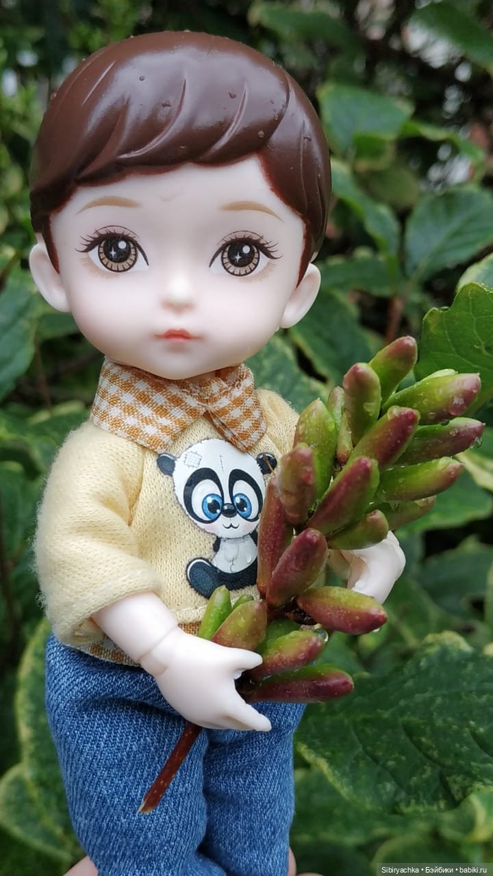 После дождя — Игровые куклы разных производителей (Разное): редкие бренды