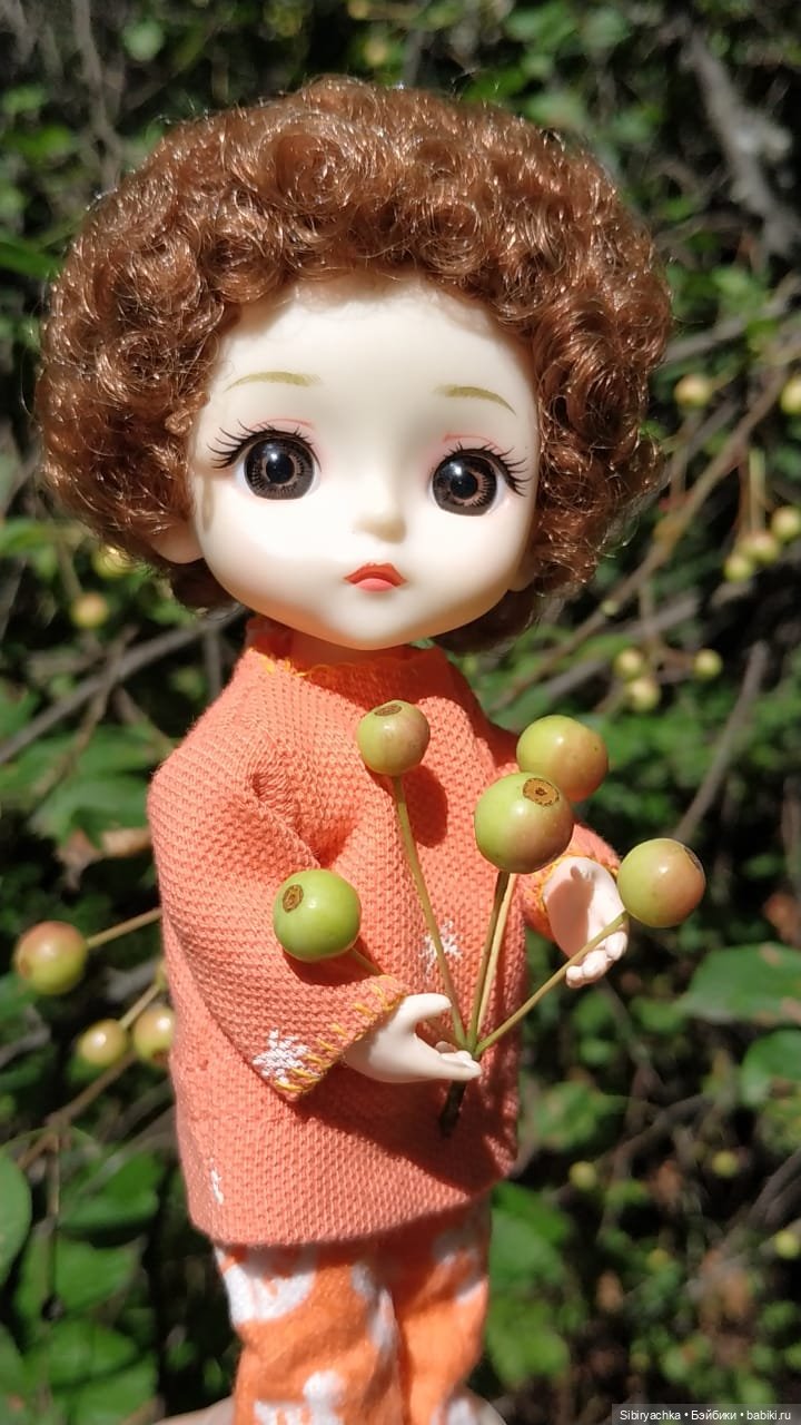 Василёк в лесу — Игровые куклы разных производителей (Разное): редкие бренды (фото 10)