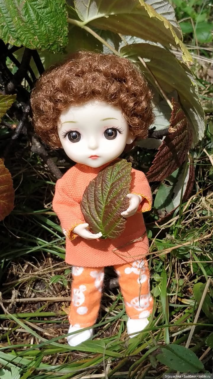 Василёк в лесу — Игровые куклы разных производителей (Разное): редкие бренды