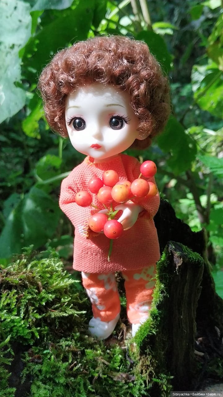 Василёк в лесу — Игровые куклы разных производителей (Разное): редкие бренды (фото 4)