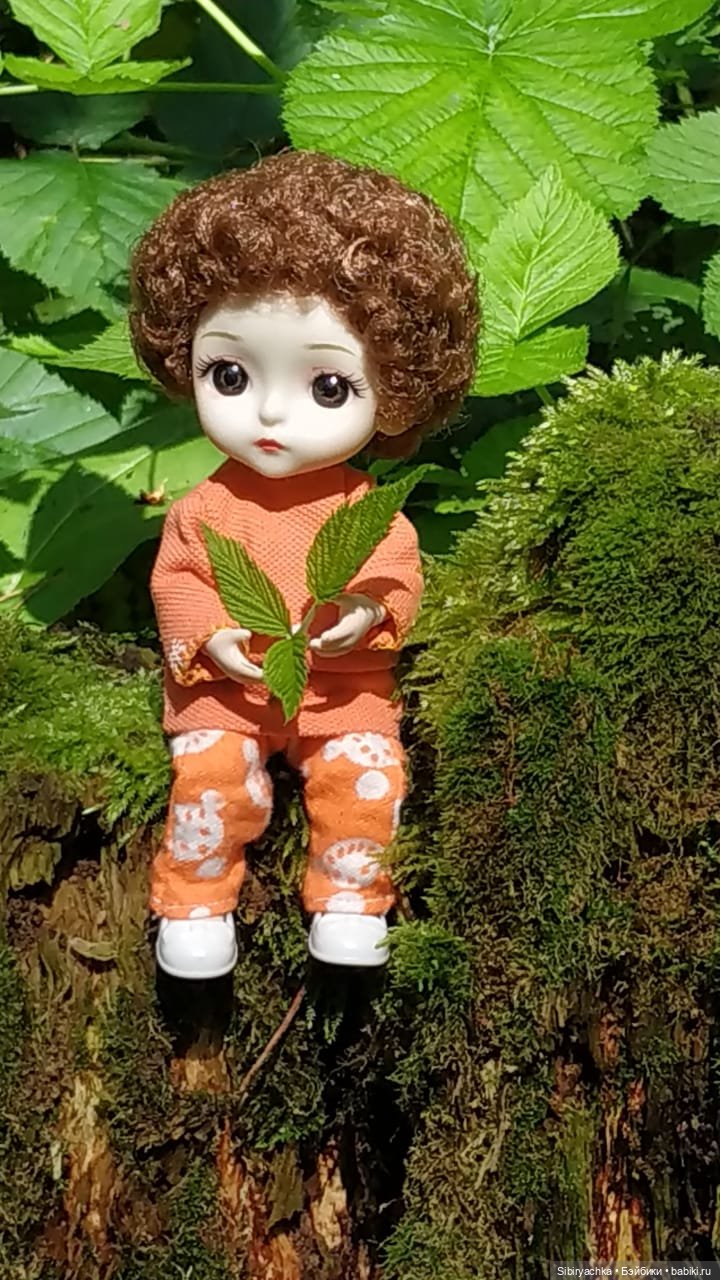 Василёк в лесу — Игровые куклы разных производителей (Разное): редкие бренды (фото 6)