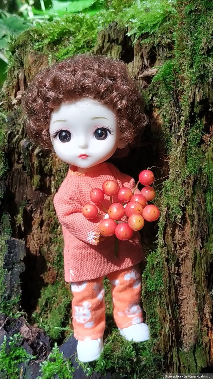 Василёк в лесу — Игровые куклы разных производителей (Разное): редкие бренды (фото 5)