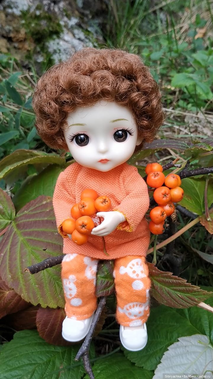 Василёк в лесу — Игровые куклы разных производителей (Разное): редкие бренды