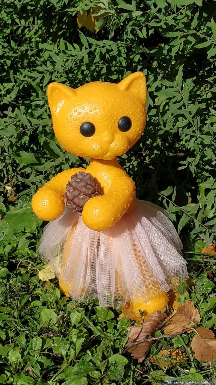 Кошечка Мурочка радуется лету и теплу (фото 8)