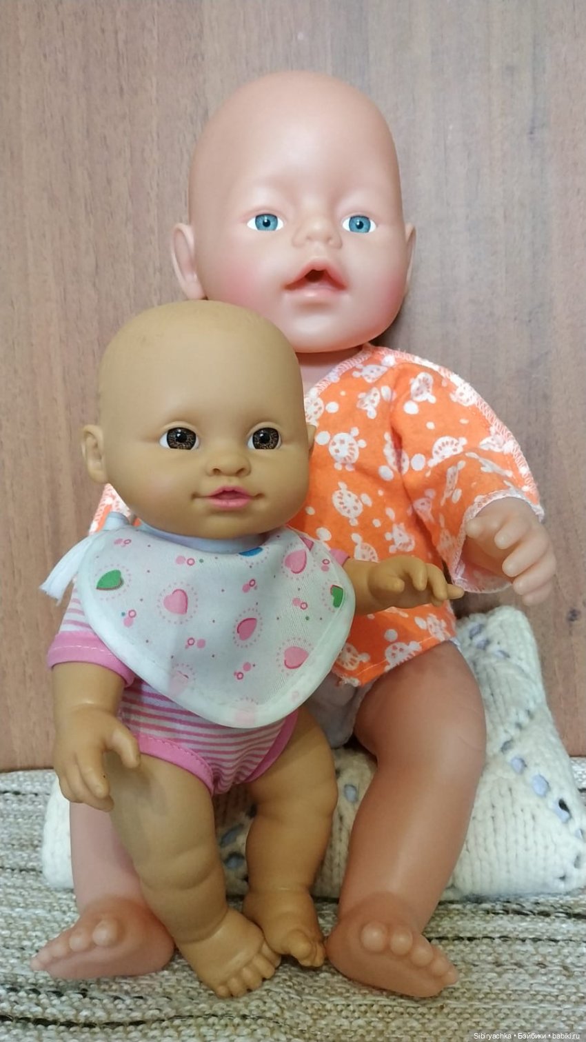 Спасённые пупсы обживаются дома