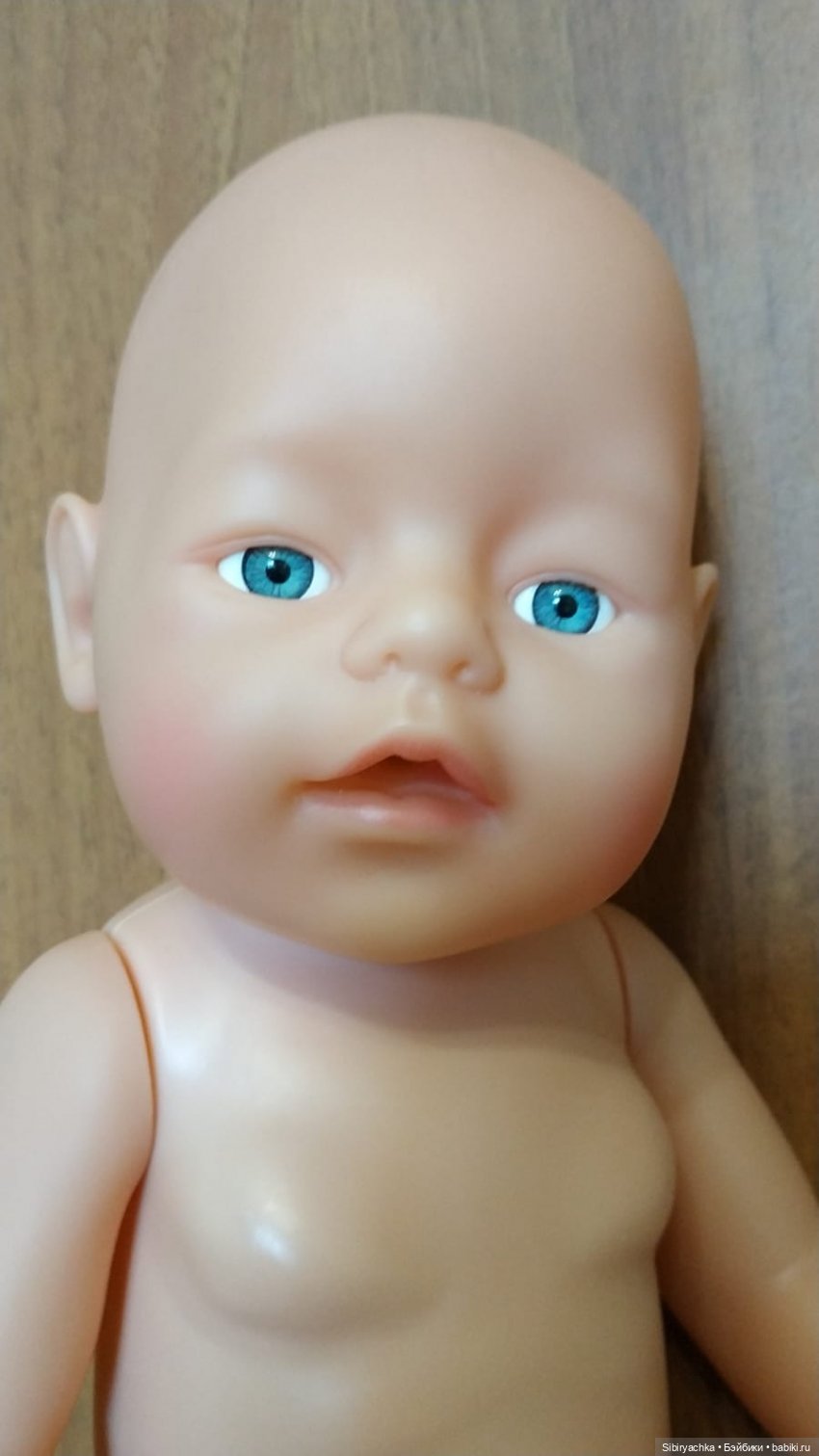 Спасённые пупсы обживаются дома