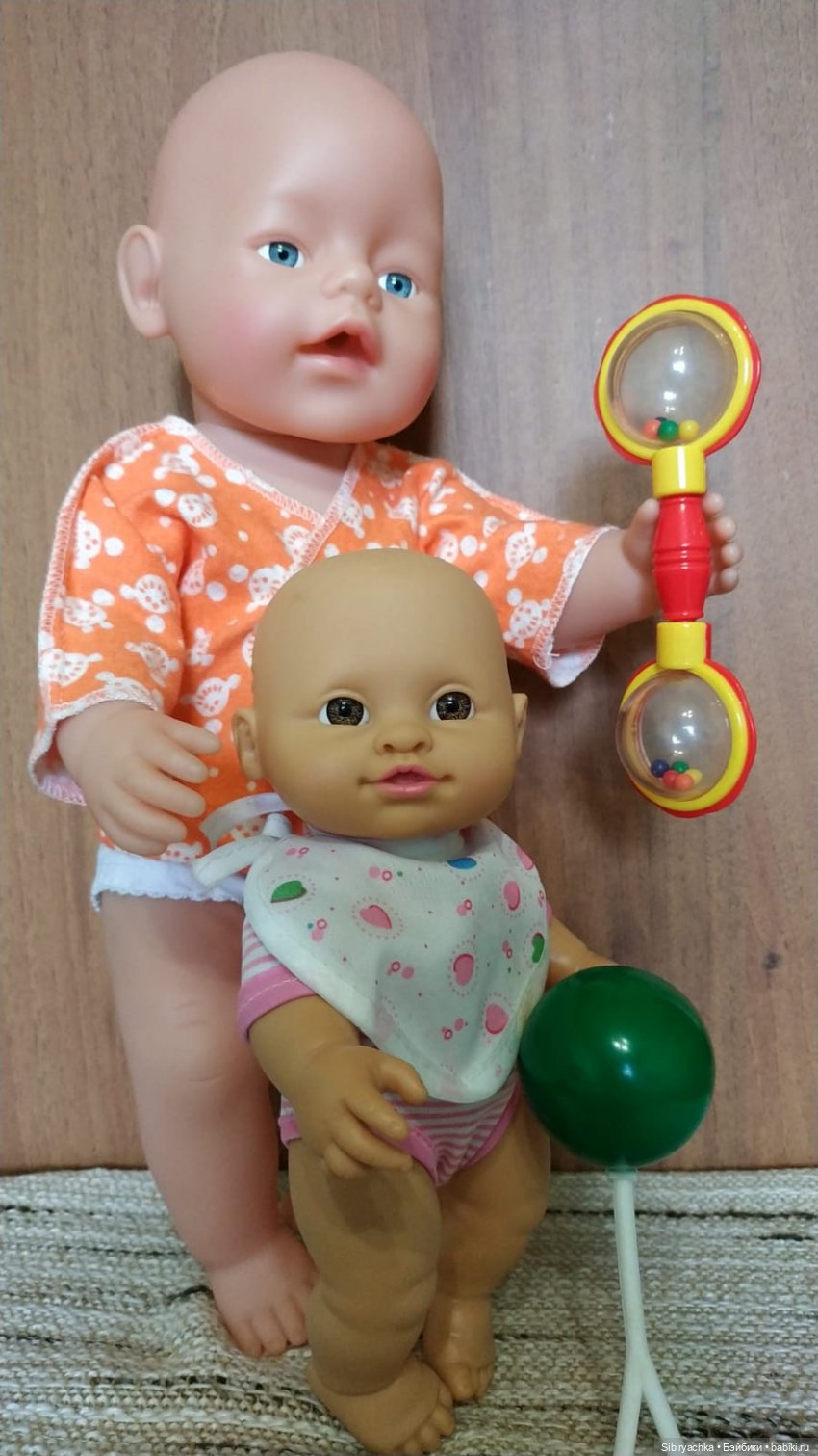 Спасённые пупсы обживаются дома