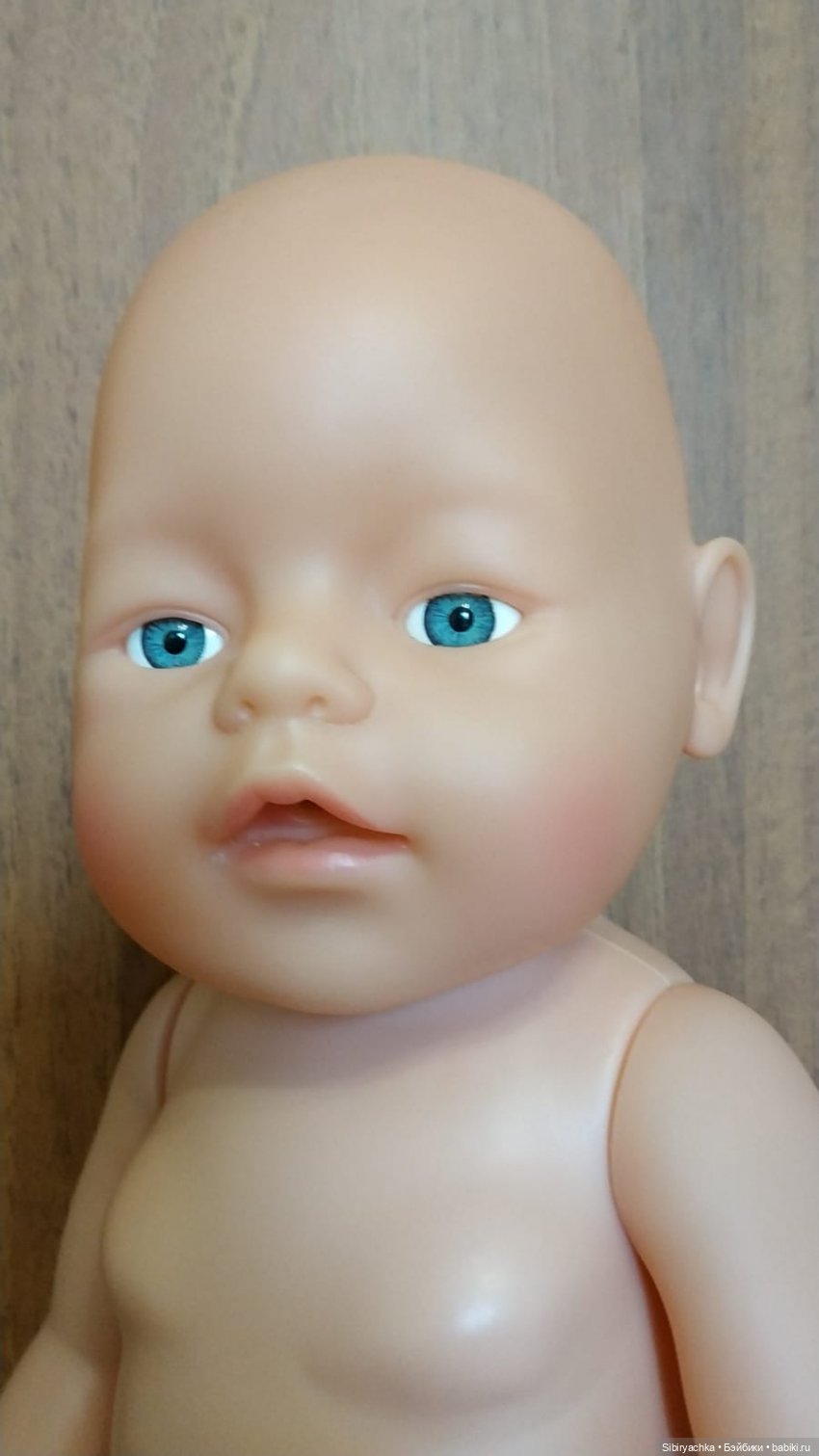 Спасённые пупсы обживаются дома (фото 2)