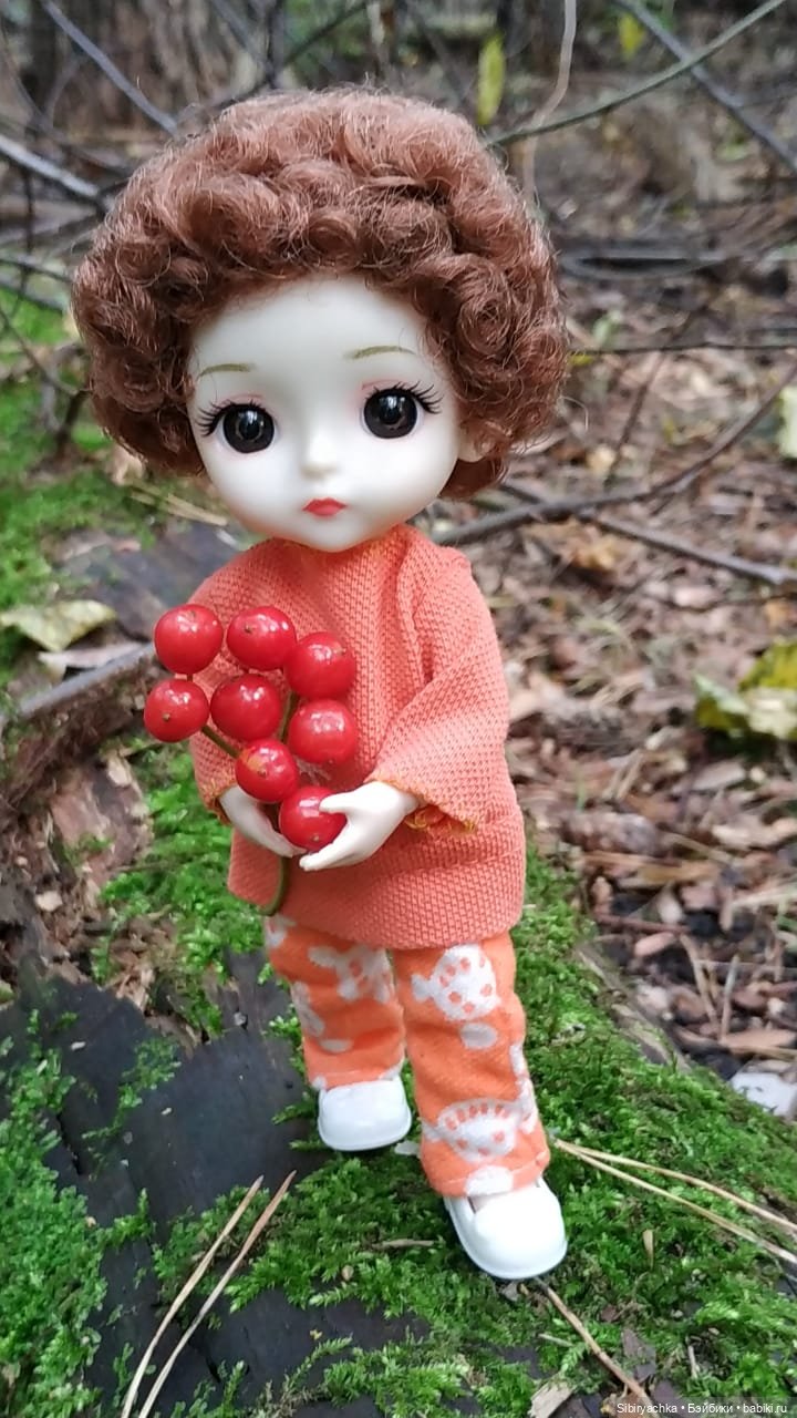 Василёк в лесу — Игровые куклы разных производителей (Разное): редкие бренды (фото 4)