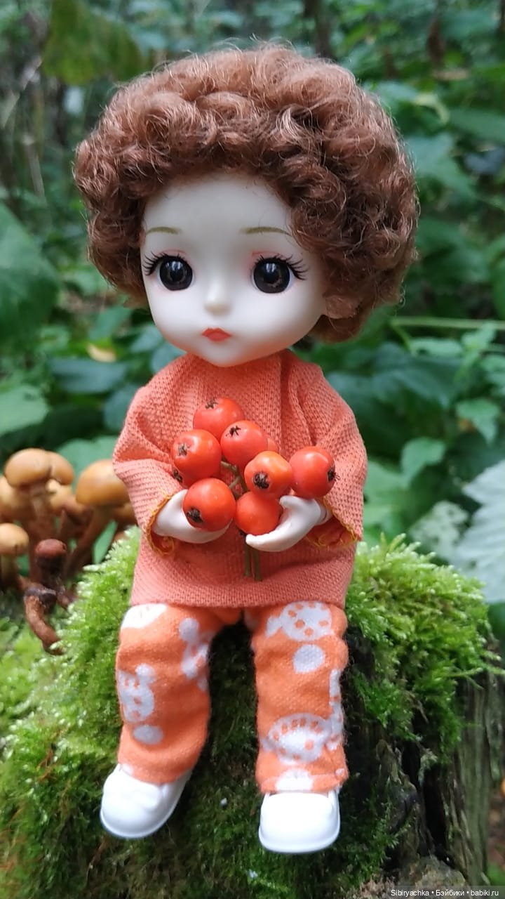 Василёк в лесу — Игровые куклы разных производителей (Разное): редкие бренды