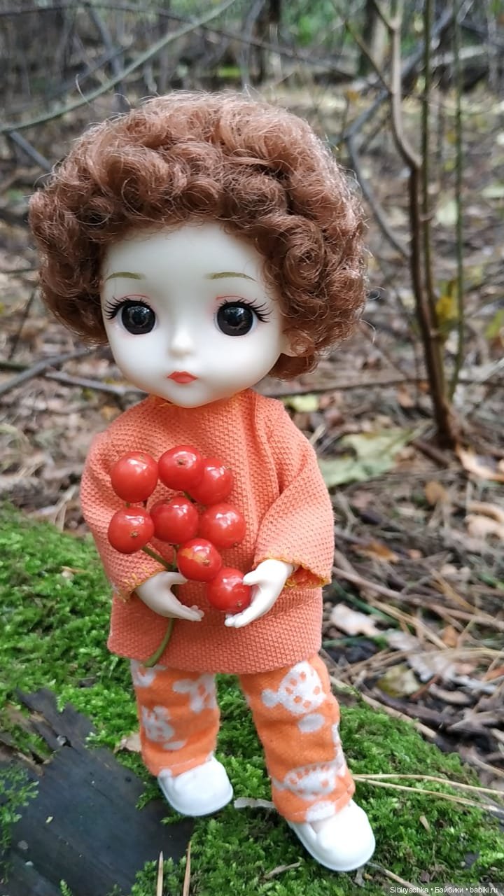 Василёк в лесу — Игровые куклы разных производителей (Разное): редкие бренды (фото 3)