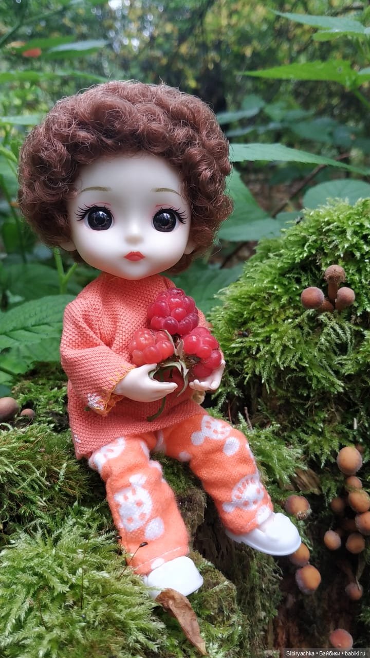 Василёк в лесу — Игровые куклы разных производителей (Разное): редкие бренды (фото 6)