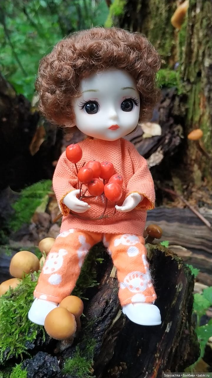 Василёк в лесу — Игровые куклы разных производителей (Разное): редкие бренды