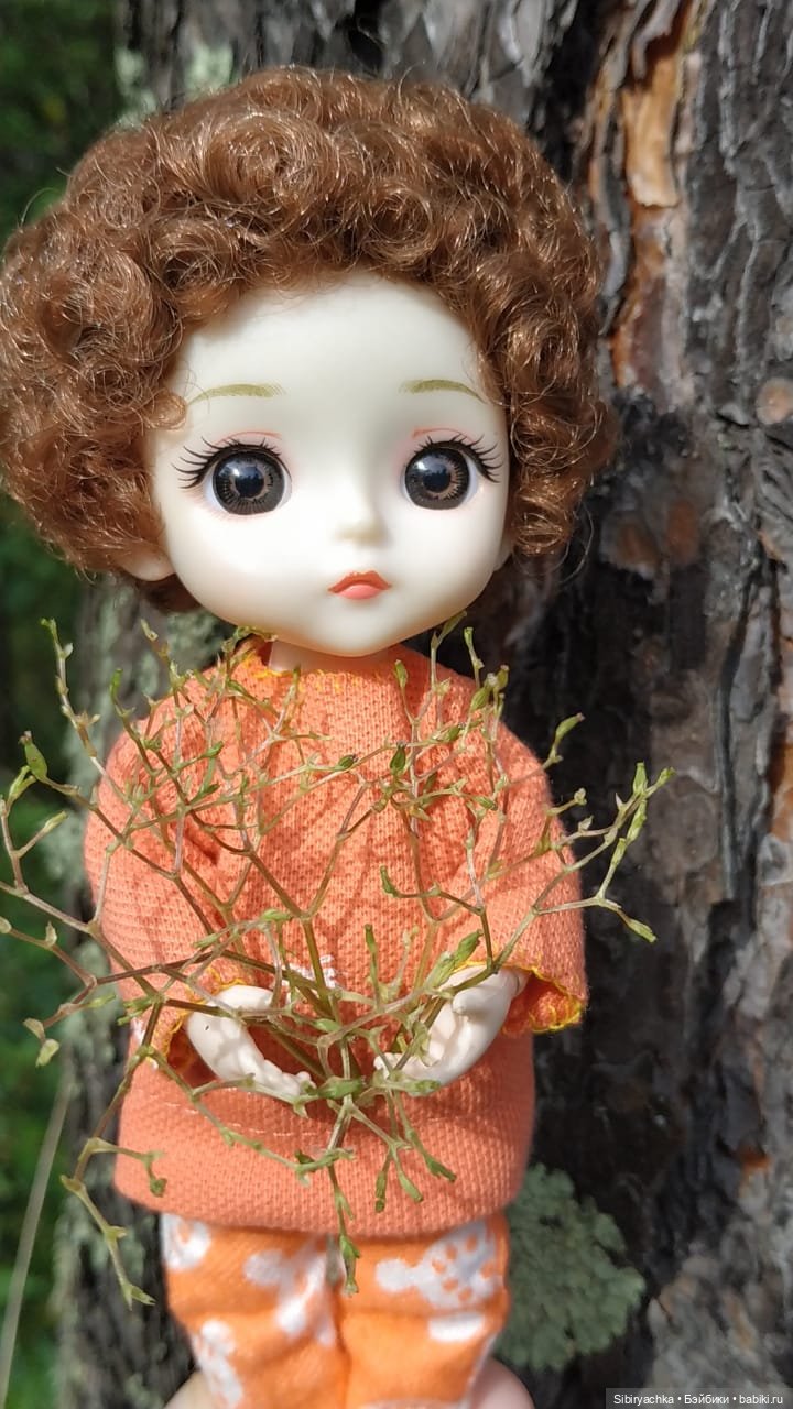 Василёк в лесу — Игровые куклы разных производителей (Разное): редкие бренды