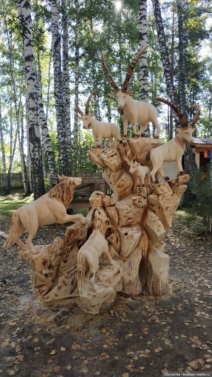 Кошечке Мурочке не сидится дома