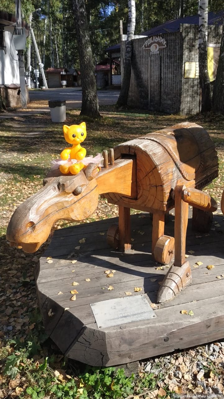 Кошечке Мурочке не сидится дома (фото 7)