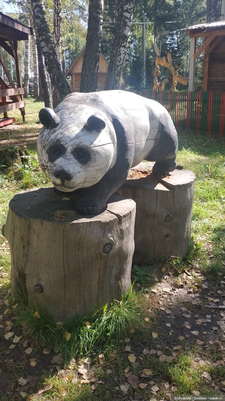 Кошечке Мурочке не сидится дома