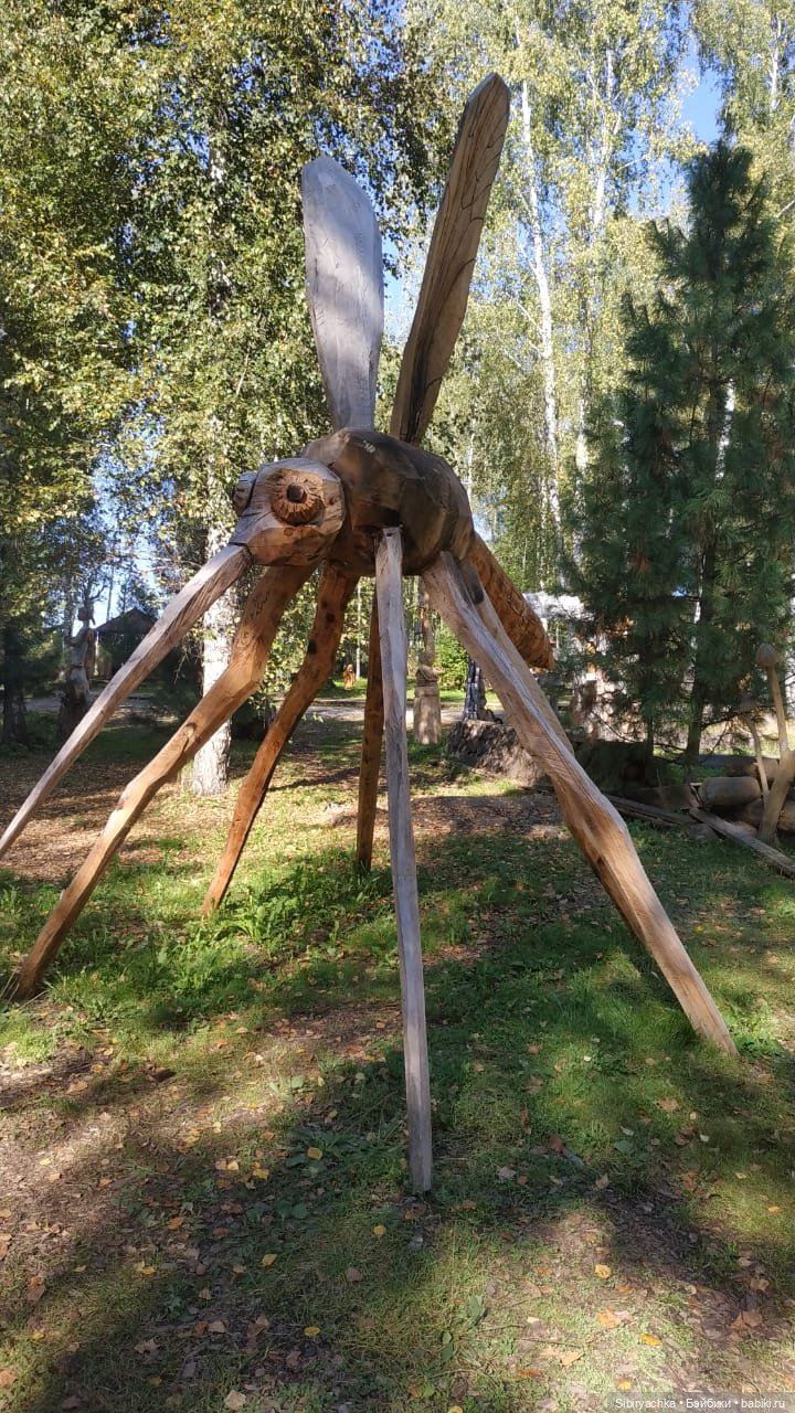 Кошечке Мурочке не сидится дома