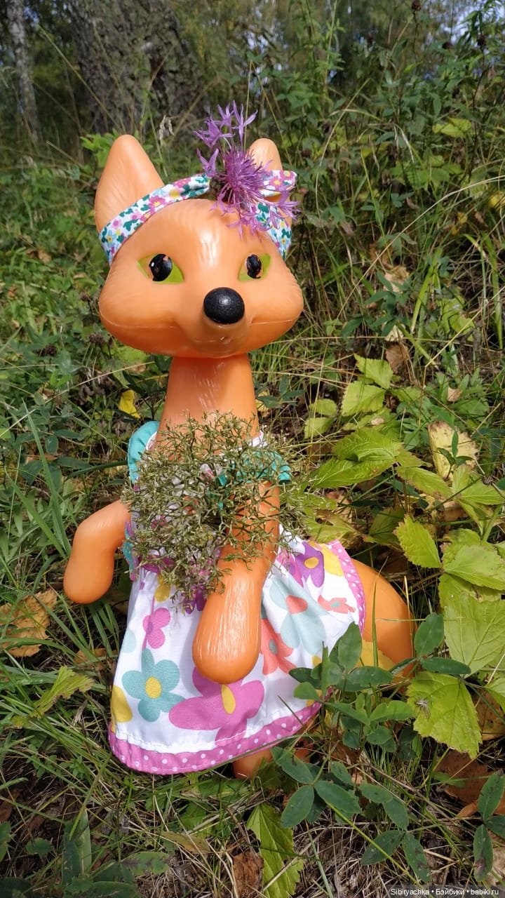 Патрикеевна в осеннем лесу (фото 5)