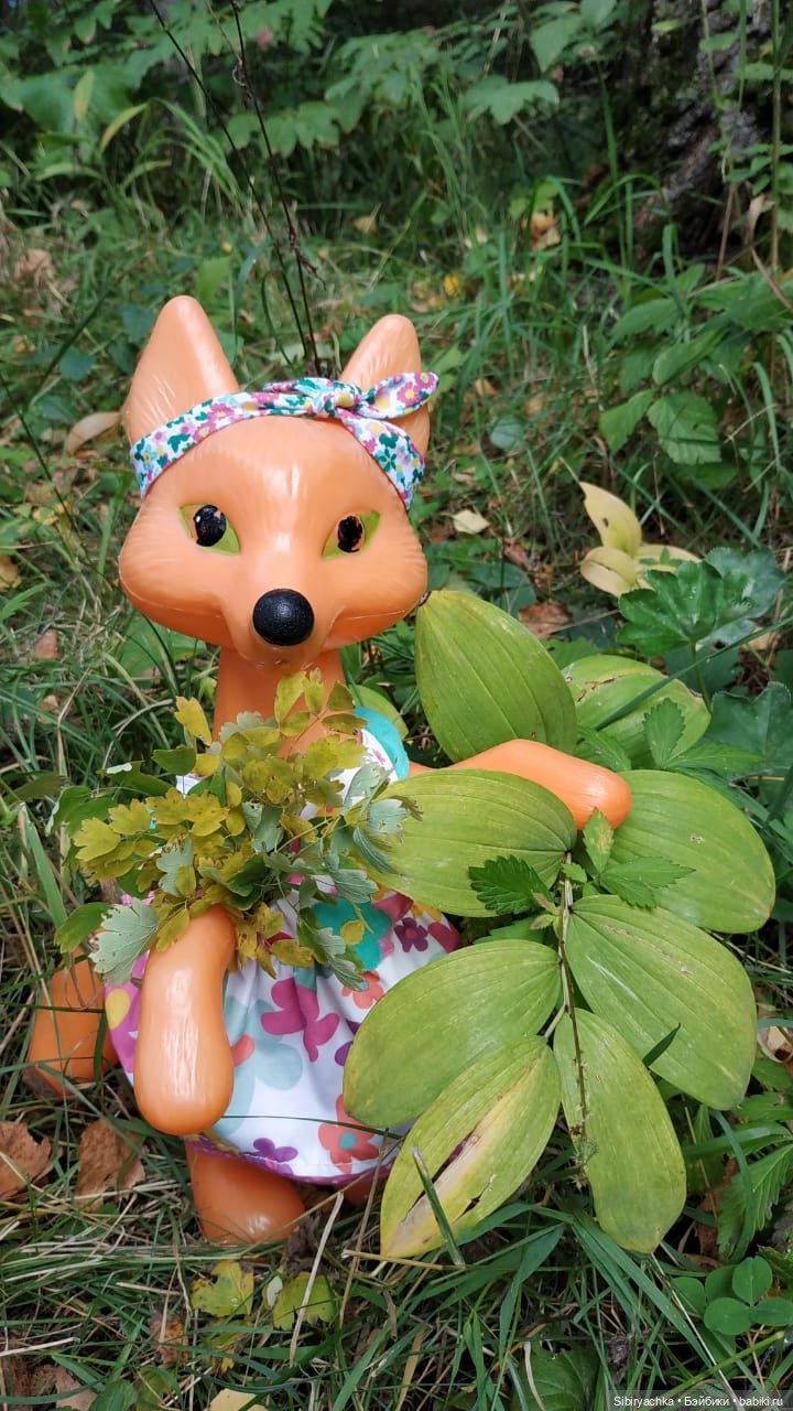 Патрикеевна в осеннем лесу