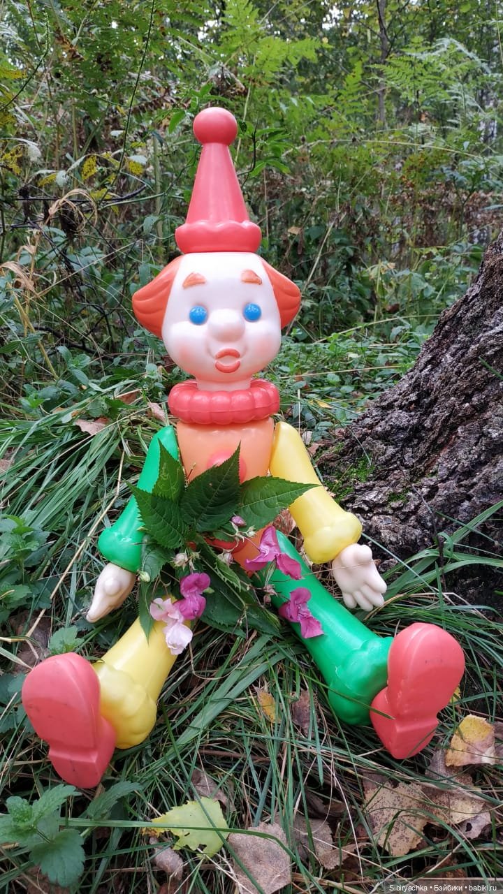 Петруша гуляет в осеннем лесу