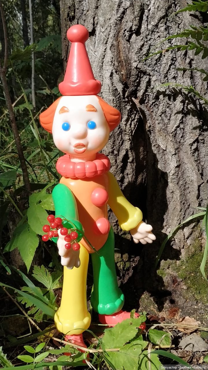 Петруша гуляет в осеннем лесу (фото 4)