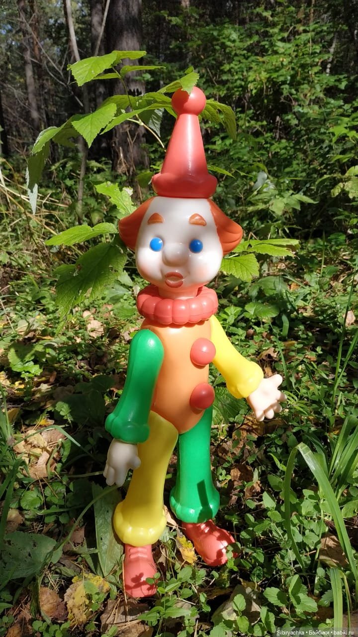 Петруша гуляет в осеннем лесу (фото 5)