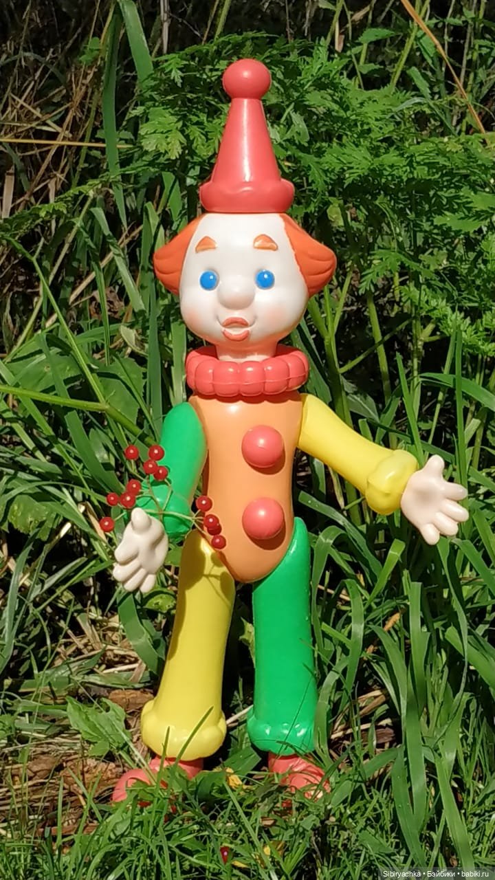 Петруша гуляет в осеннем лесу (фото 9)