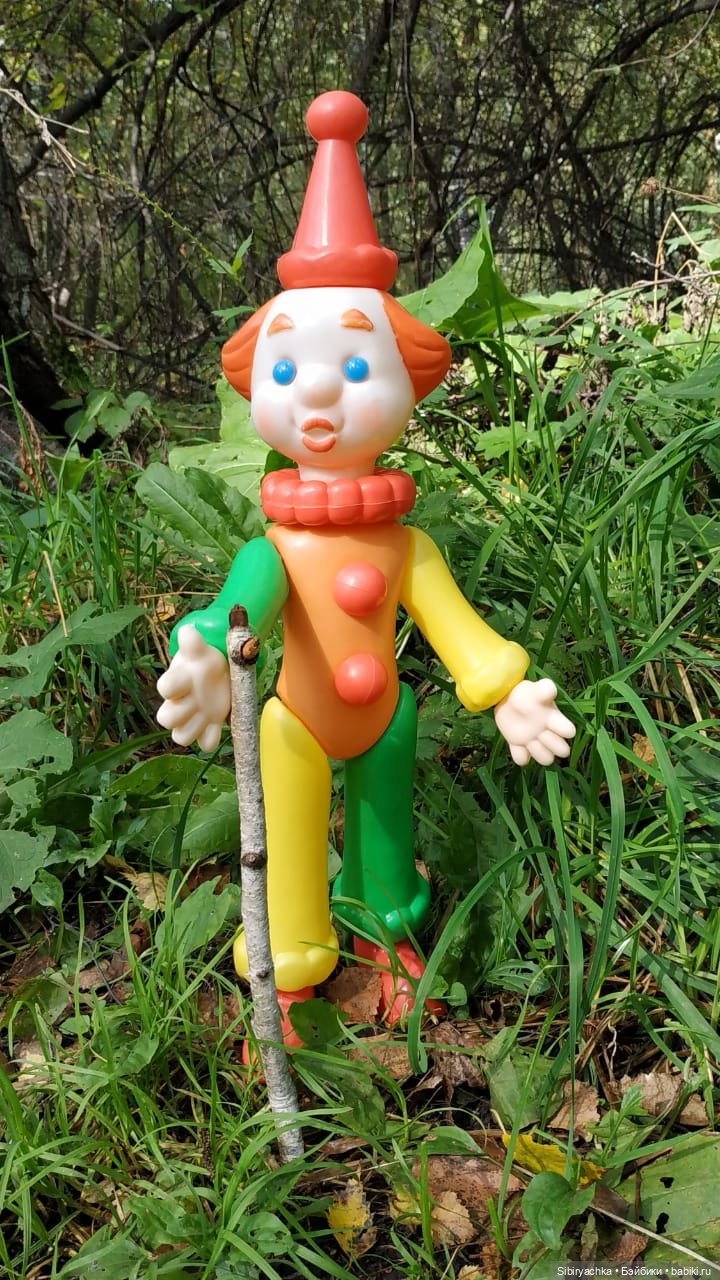 Петруша гуляет в осеннем лесу (фото 8)