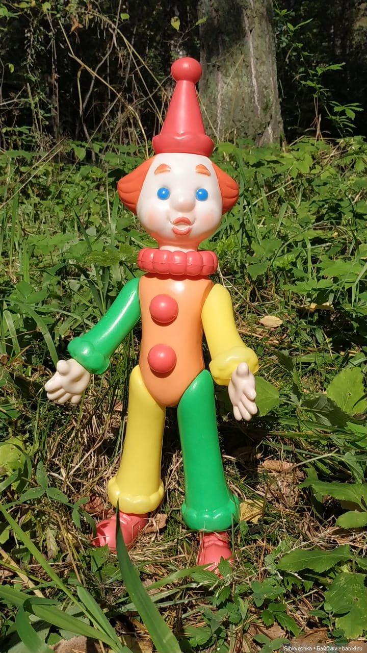 Петруша гуляет в осеннем лесу (фото 10)