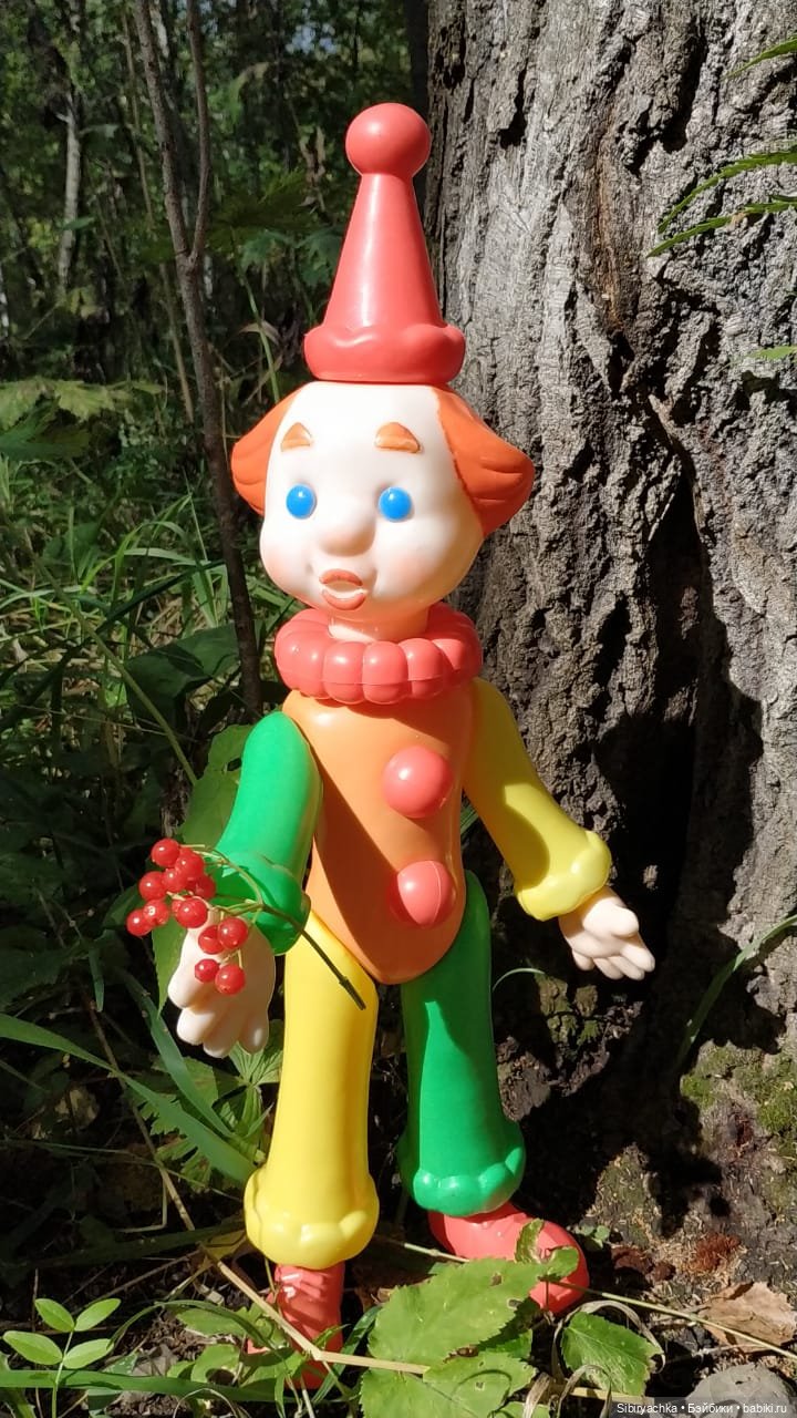 Петруша гуляет в осеннем лесу (фото 3)