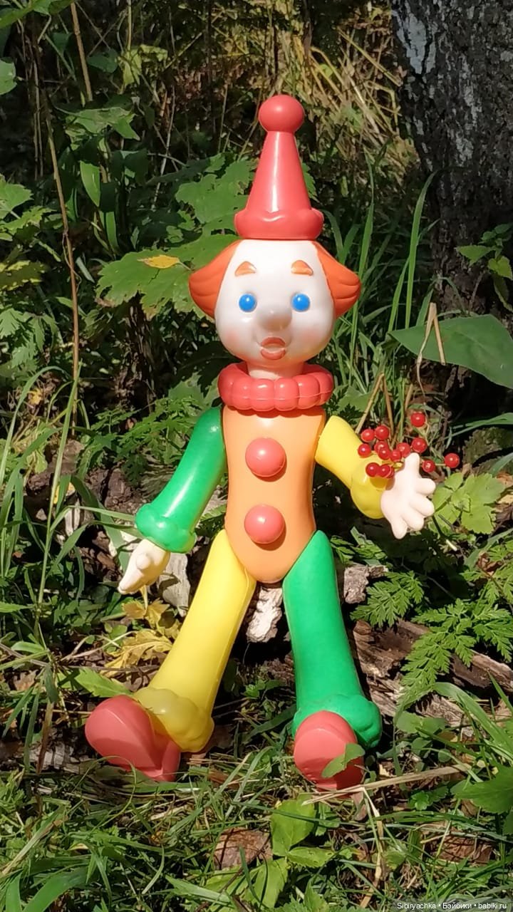 Петруша гуляет в осеннем лесу (фото 7)