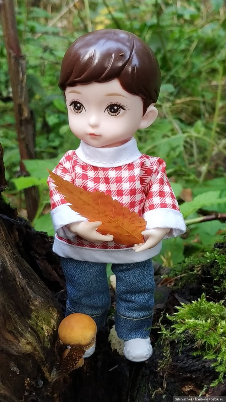 Коленька в осеннем лесу — Игровые куклы разных производителей (Разное): редкие бренды