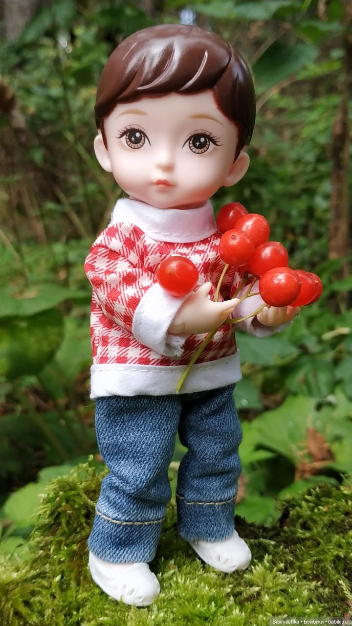 Коленька в осеннем лесу — Игровые куклы разных производителей (Разное): редкие бренды