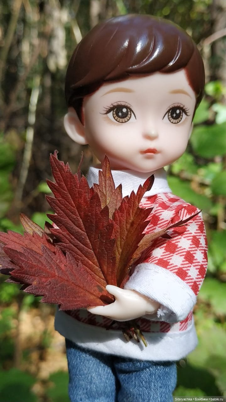 Коленька в осеннем лесу — Игровые куклы разных производителей (Разное): редкие бренды