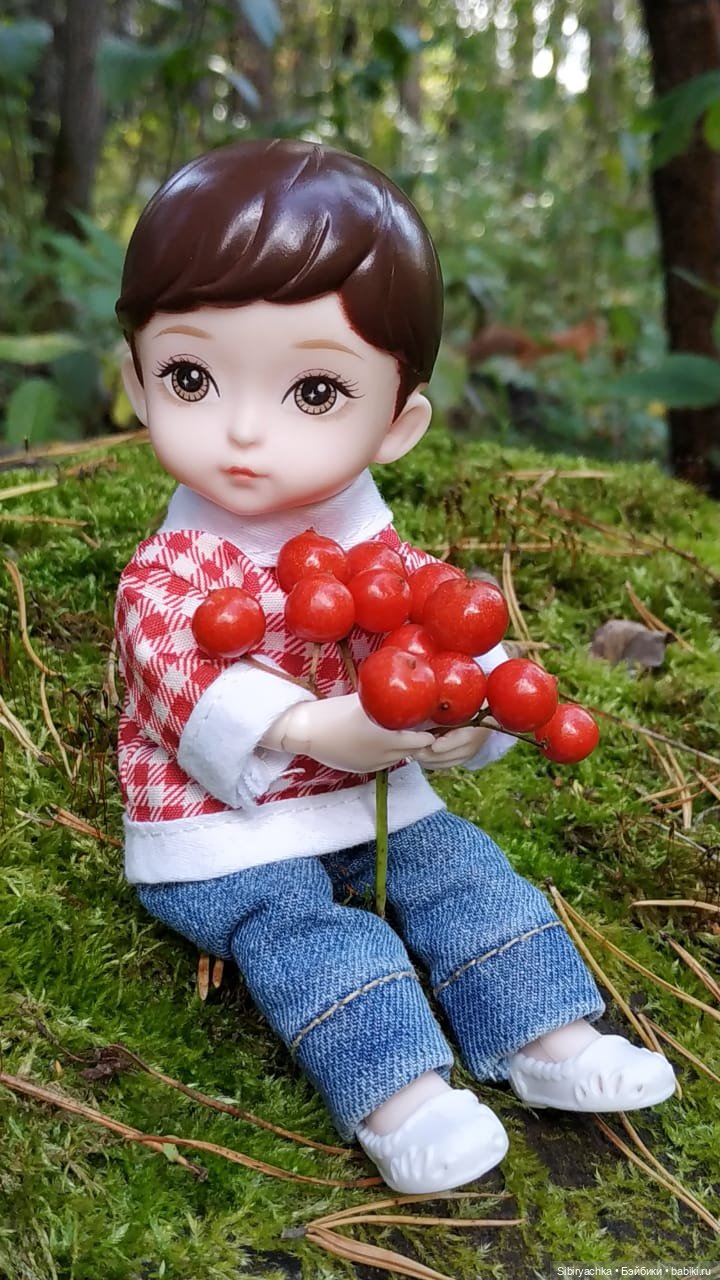 Коленька в осеннем лесу — Игровые куклы разных производителей (Разное): редкие бренды