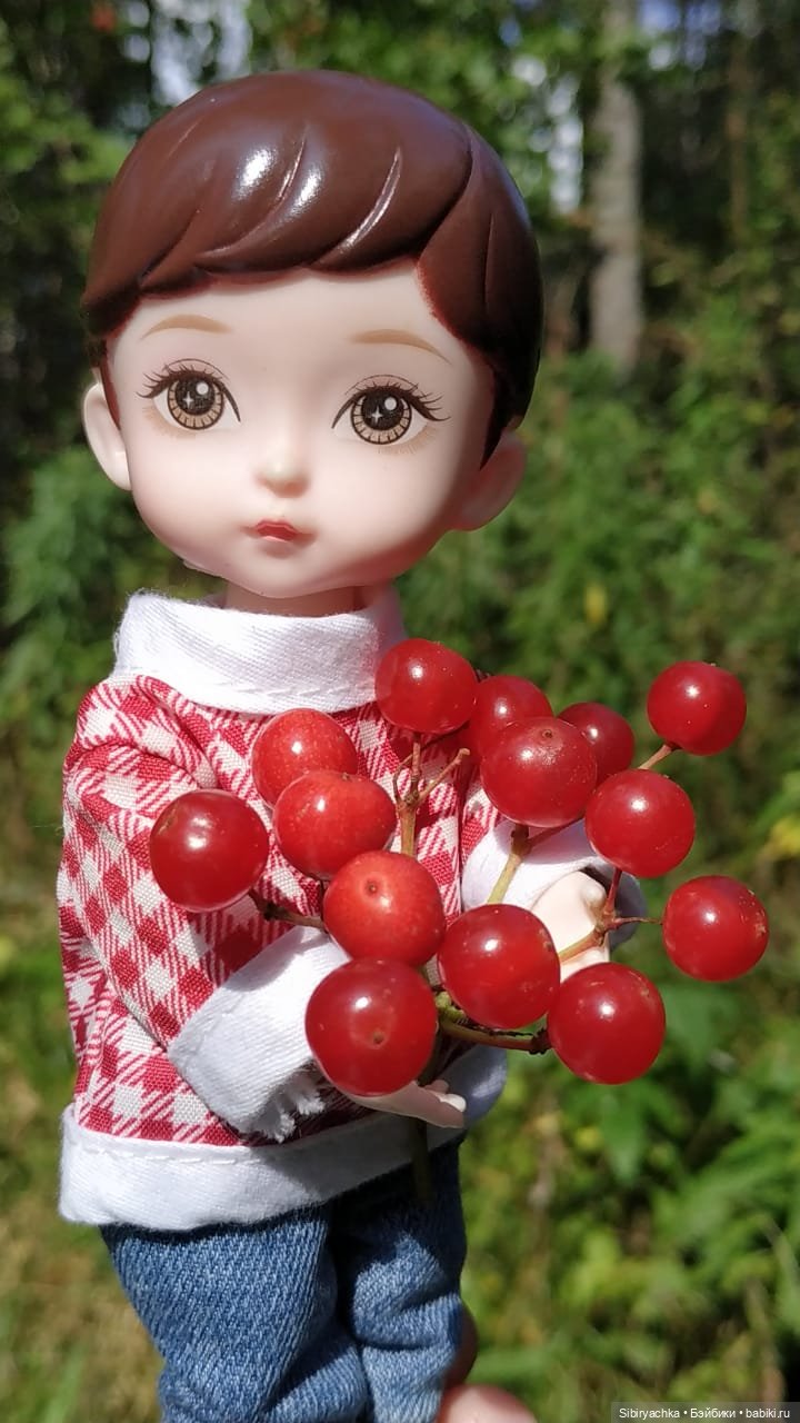 Коленька в осеннем лесу — Игровые куклы разных производителей (Разное): редкие бренды